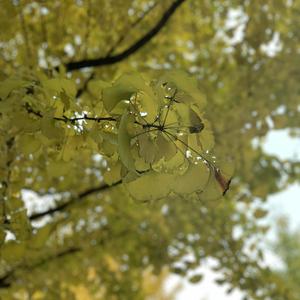 国产av自拍网址
